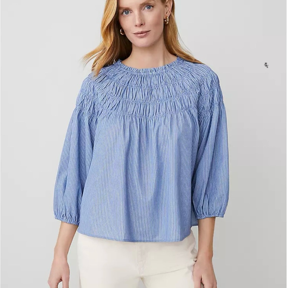Ann Taylor Blue and White Smocked Puff Sleeve Blouse